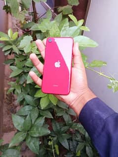 Iphone SE 128Gb PTA Approved