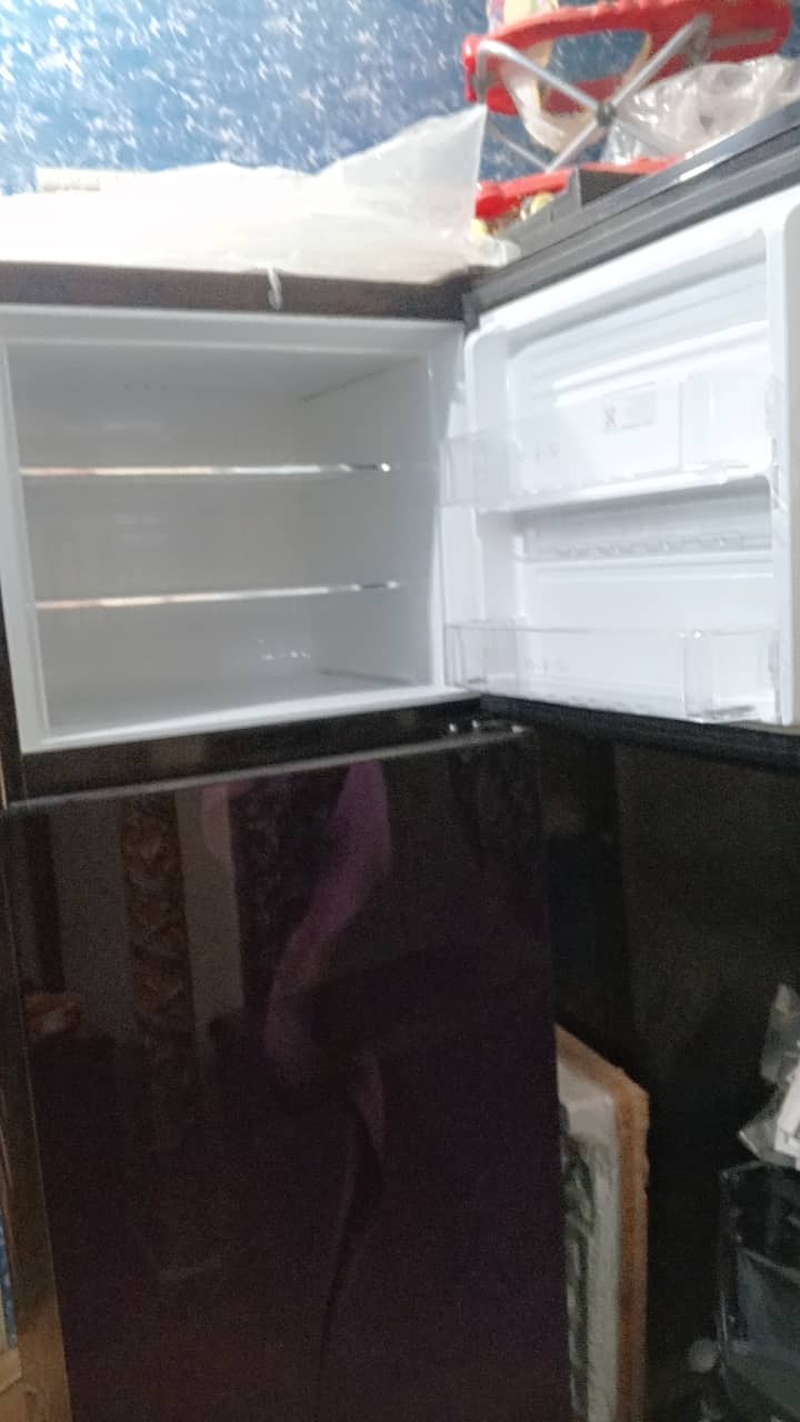 Pel large size new refrigerator for sale 2