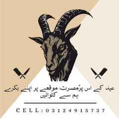 qasam online bakra all over karachi