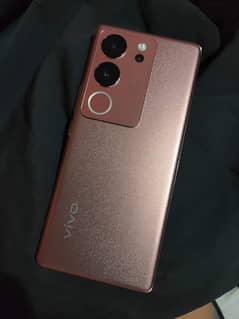 vivo v29 5G 12/256GB 0341/6691/982 My WhatsApp number