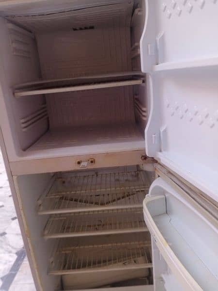 pel freezer 1