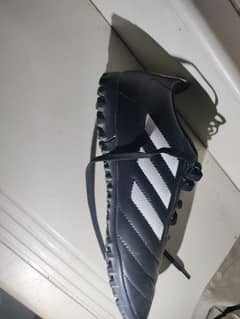 adidas golleto