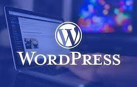 WordPress Developer