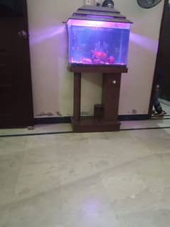 Aquarium