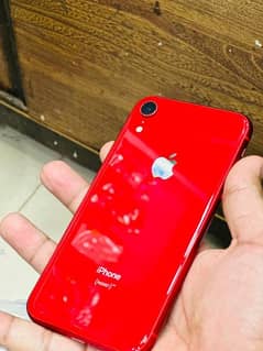 iPhone XR