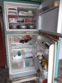 Fridge