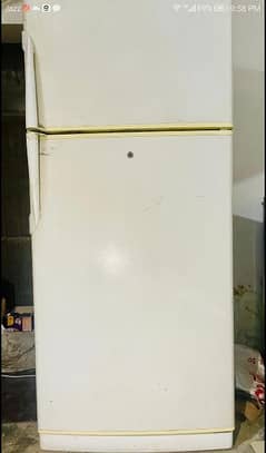 Daewoo Jumbo size fridge.
