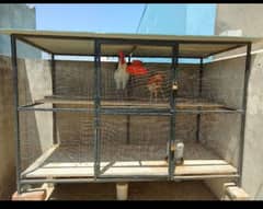 hen/birds cage for sale