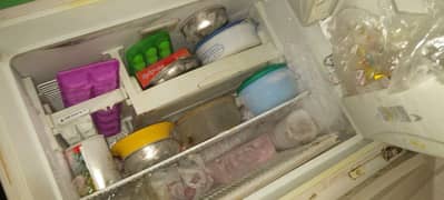 dowlance freezer. . .