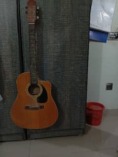 acoustic guitar