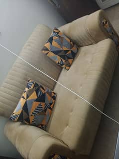 2 seater velvet sofa set with 2 cushions for sale just one month used