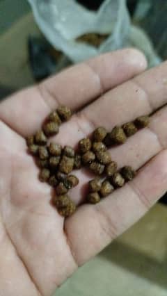 High grade Fish feed