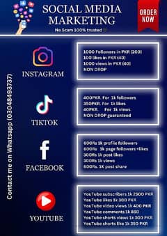 Instagram Tiktok Youtube Facebook services available demo in 100 rs