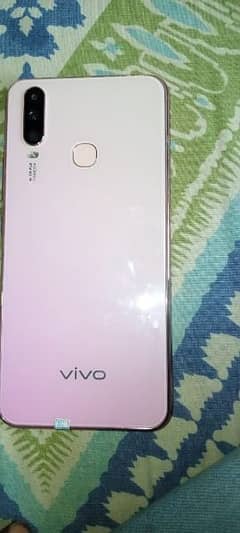 vivo