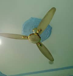 ek adad Royal ceiling fan chalo halat, khula huwa nahi hai