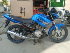 YBR 125 sporty