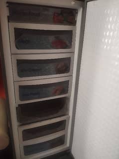 freezer mint condition