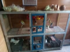 pigeons10 and parrots 16 big cage phone number  03334879316