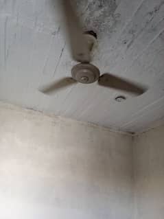 celling fan