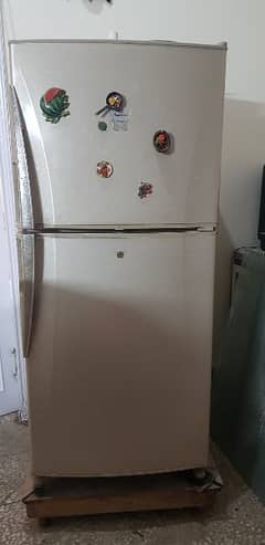 Fridge