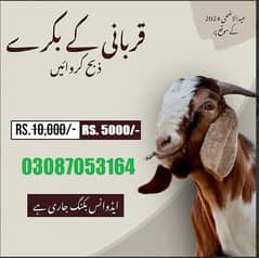 QURBANI K JANWAR HUM SE KARWAYN