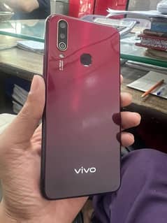 vivo