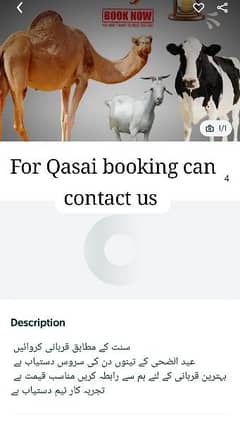 Qasai available