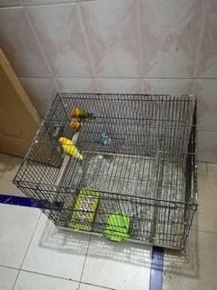 Cage for lovebirds and Australian birds