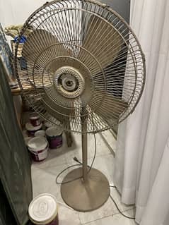 Fans available