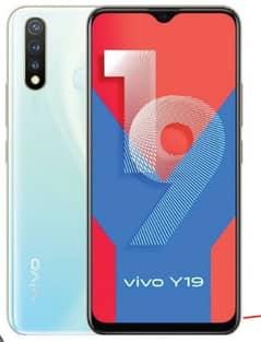 vivo y19