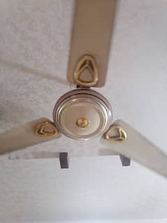 Ceiling Fans