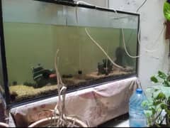 4 feet aquarium
