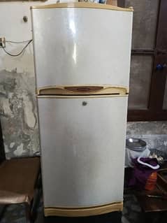 Waves Fridge (Model WRH-308DD)