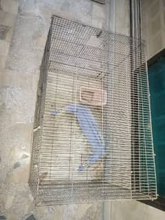 Full size cage for sale