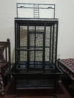 Cage / Iron Cage / Bird Cage / Pinjra / Macaw / Grey Parrot / Cockatoo