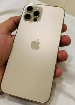 I phone 12 pro max golden colour 10/10