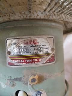 GFC 24 inch pedestal fan