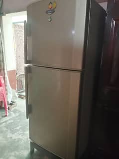 Haier full size Refrigerator
