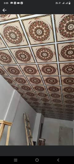 Roof Ceiling/Gypsum Ceiling/Plastir of paris ceiling