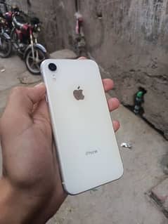 iphone xr white color ma 64