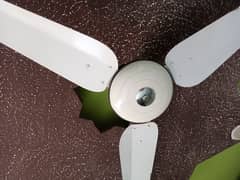 Ceiling fan 220V