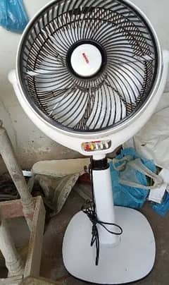 Royal fan in good condition