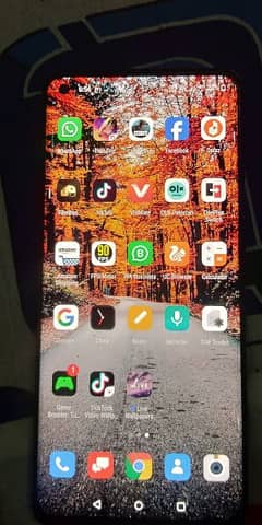 oneplus 8 5g back crack and no issue
