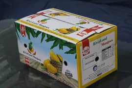 multani Mangoes for Sale 8kg box and 5kg box