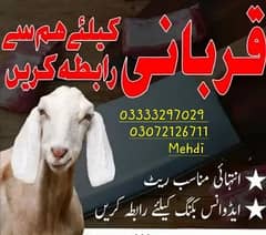 Butcher Qasayi Kasayi قصائی 03333297029