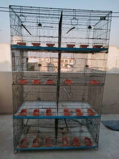 Love Birds cage