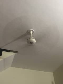 Ceiling fan 56 inch
