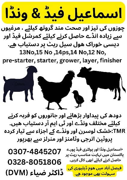 poultry feed & dairy TMR 0328-8051806(ismail feeds) 1