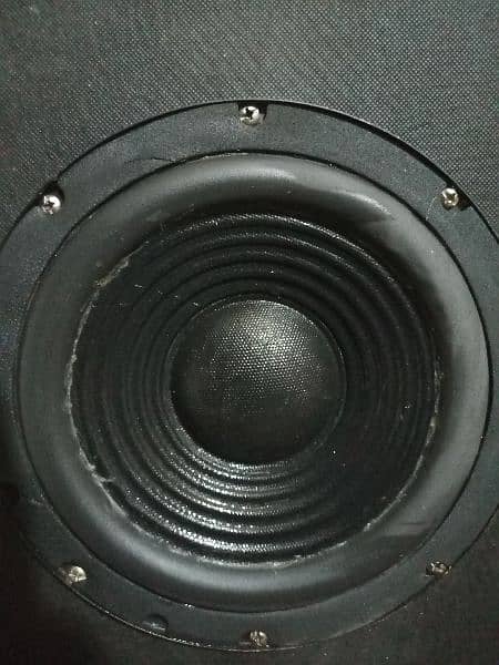 "8" Inch Basstube SUBWOOFER 4