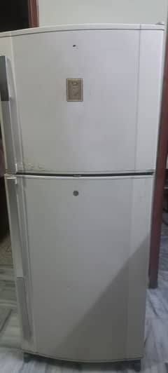 Dawlence fridge